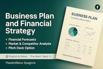 create a professional business plan and financial strategy