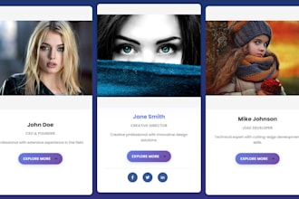build, redesign wordpress website and custom elementor widgets