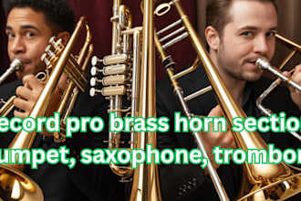 record pro brass horn section trumpet, saxophone, trombone