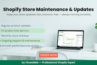 maintain and update your shopify store