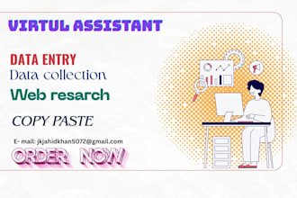 do data entry and data collection copy paste and web resarch
