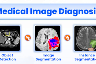 build ai model for image classification and object detection