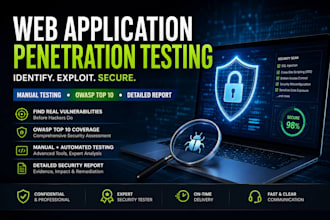 perform professional web application penetration testing and security assessment