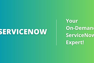 provide initial servicenow consultation