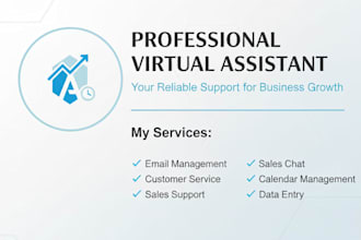 professional virtual assistant, admin, customer support and data entry