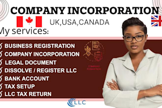 register , incorporate your business in USA, UK professionally