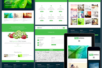 professional web design and development