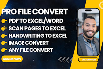 24 hrs convert PDF to excel job, file conversion by best data entry specialist