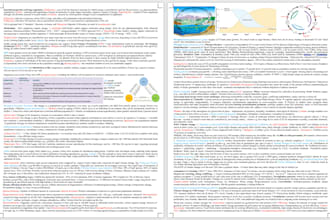 custom clear concise and well organized cheatsheets study notes