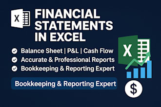 do professional financial statement analysis, pl, balance sheet report in excel