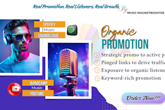 do organic soundcloud spotify bandcamp youtube tidal music promotion