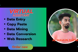 data entry expert copy paste web research virtual assistant