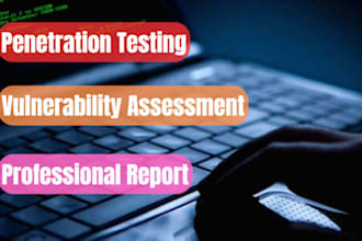 do a professional penetration testing, vulnerability assessment, and reports