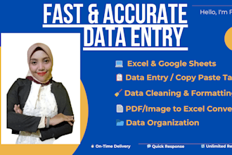 do data entry, PDF to excel, and clean spreadsheets