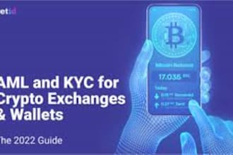 develop a professional kyc submission for crypto wallets and websites