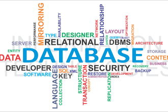provide sql database or access database work for you