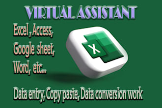 do data entry, copy paste, data conversion work