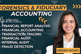 digital forensics, accounting ,osint investigation, and background checks