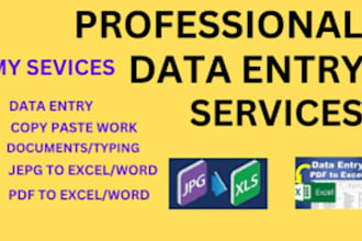 copy paste , data entery , and typing work accurately