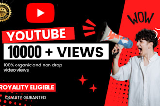 get 5000 promotion organic views on your youtube channel
