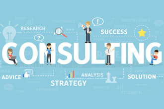 provide business plan advisory