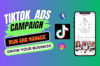 manage and setup run tiktok ads campaign, tiktok advertising