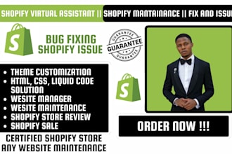 shopify website maintenance, maintain your shopify website, shopify consulting
