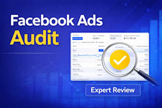 audit your facebook and instagram ads campaign