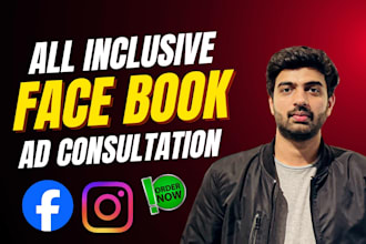 audit your facebook and instagram ads campaign