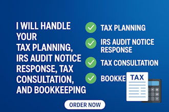 handle your tax planning,irs audit notice response, tax consultation,bookkeeping