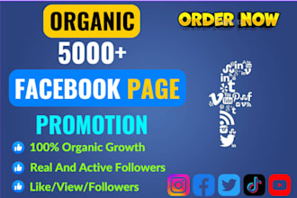 get 5000 facebook page followers and like