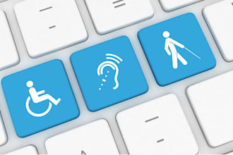 perform web accessibility testing and wcag audits