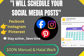 professionally schedule your social media posts for growth
