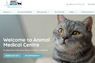 design squarespace dog grooming website pet care website animal clinic website