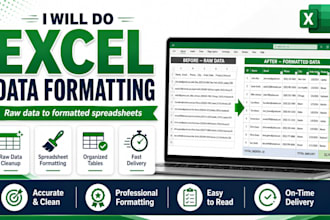 do excel data formatting raw data to formatted spreadsheets