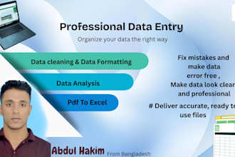 clean, format, merge, and organize your CSV, PDF,excel data professionally