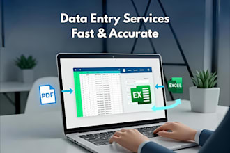 do accurate data entry from excel to website or system