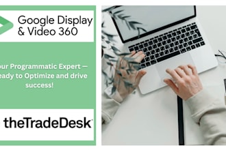setup, manage and optimize your programmatic campaigns in dv360 and ttd