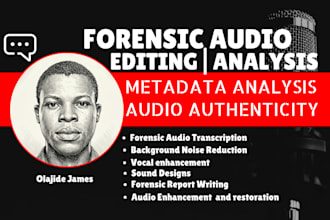 do forensic audio editing, report writing, vocal analysis, noise removal, cut