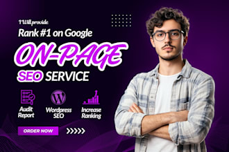 do wordpress on page SEO service for google website ranking