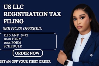 prepare and file USA tax returns 1120 1040 1040nr 5472 itin ein