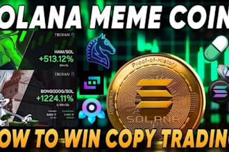 help trade crypto memecoins and find profitable for you