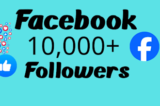 increase social media followers