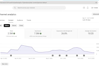 youtube channel with expert SEO strategy