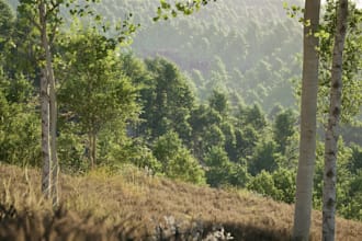 create a landscape and terrain for unreal engine using gaea
