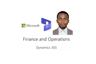 be your microsoft dynamics 365 erp finance consultant