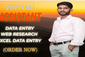 do data entry work,excel data entry, retyping,data management