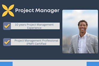 own the project as your project manager