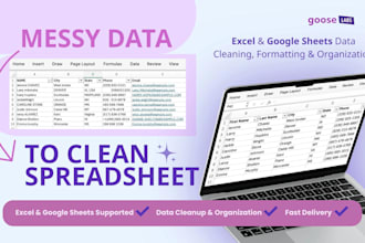 clean and organize your xlsx, csv, or gsheets data