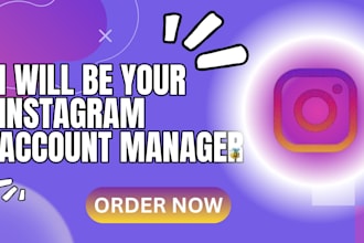 be your instagram account manager
